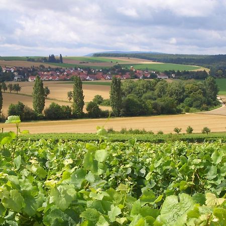 Pension Und Weingut Hirschhof Offenheim Exterior photo