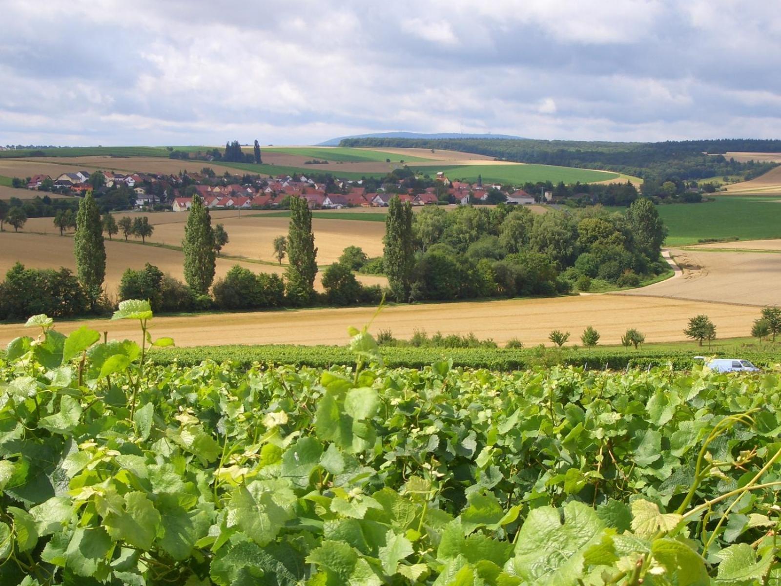 Pension Und Weingut Hirschhof Offenheim Exterior photo